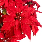 Load image into Gallery viewer, Clovi Brad Schmidt Everglow Poinsettia Urn Filler, Prelit Christmas Decor
