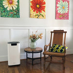 Load image into Gallery viewer, Soleus Air Whole Home Air Purifier
