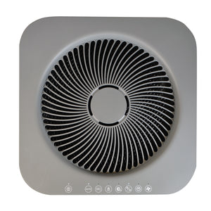 Soleus Air Whole Home Air Purifier